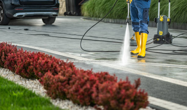 Best Pool Deck Cleaning  in Union City, MI